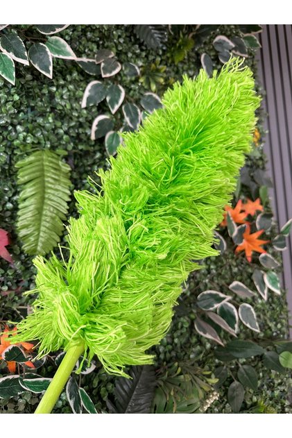 Toz Alıcı Püsküllü Fırça 60 cm Yeşil