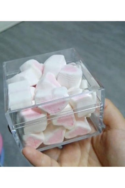 2-Pack Small Clear Acrylic Boxes with Lids – For Paper Clips, Cotton Swabs, Hair Bands & More