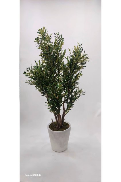 Tırtıklı Plastik saksıda Yapay Zeytin ağacı - 160 cm