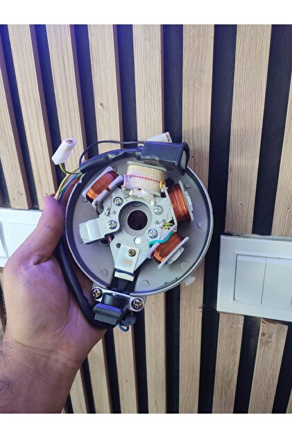 Pejo elektronik manyeto statör