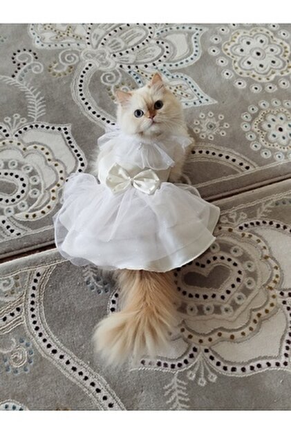 MPZ Pets Cat and Dog Outfit & Dress - White Tulle Dress- Trendyol