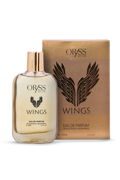 Wings Eau de Parfum for Men | Notes of Marine Accord, Bay Leaf, Ambergris & Guaiac Wood | 100ml