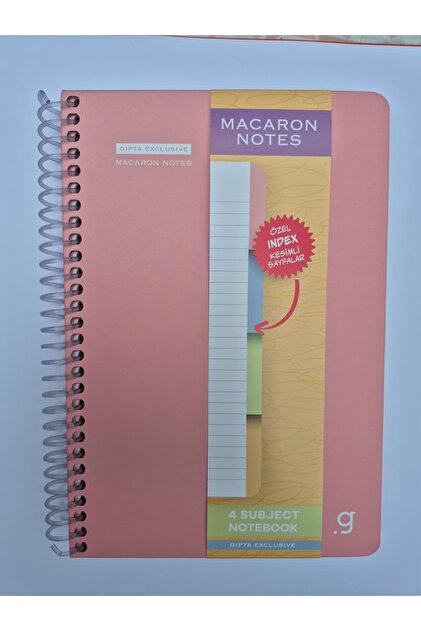 Macaron Notes 17X24 120 Leaves Lined 4 Sections