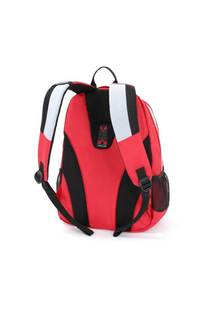 Swissgear Sırt Çantası SA6697 6697114408 - Fiyatı, Yorumları