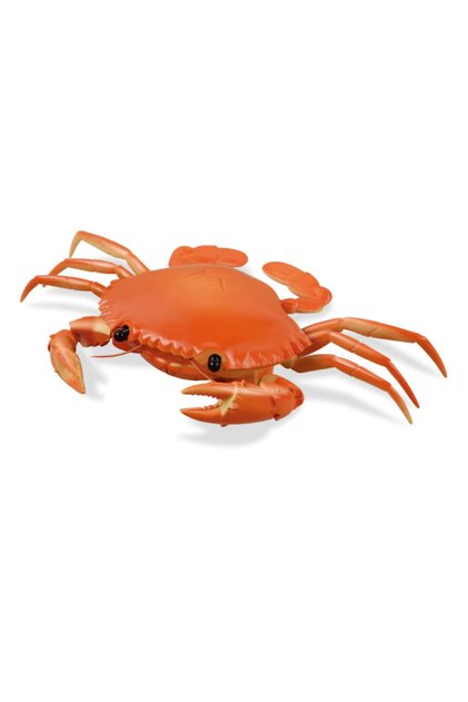 jucărie interactivă, Crab electric, telecomandă cu infraroșu, culoare portocalie