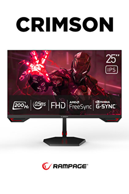 Gigabyte GIGABYTE GS25F2 24.5