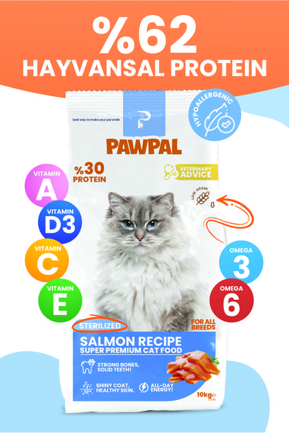 Somonlu Süper Premium Kısır Kedi Maması 10KG | Hipoalerjenik – Düşük Tahıllı – Yüksek Proteinli