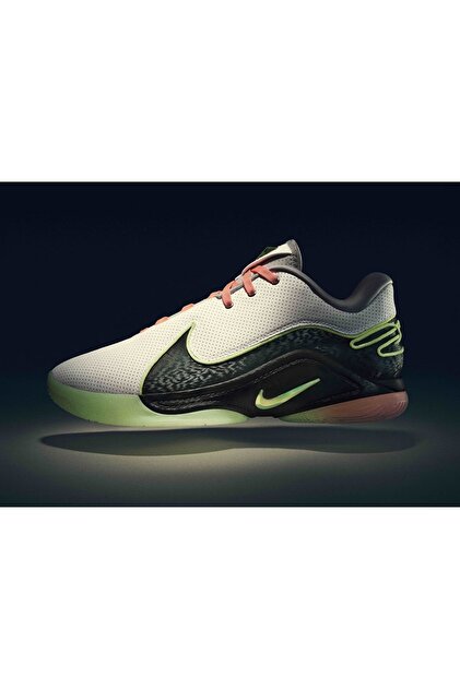 Nike LEBRON 22 MOONLİGHT ERKEK PROFESYONEL BASKETBOL AYAKKABISI