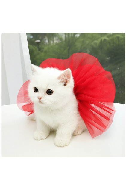 Red Cat Tutu Skirt / Cat Outfit / Cat Dress Tutu Tie-Up