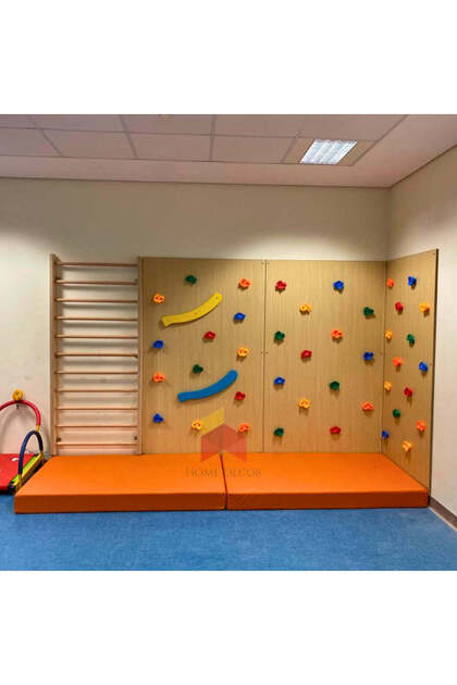 3 Panels of Climbing Wall with Swedish Ladder Combo | Basic Model