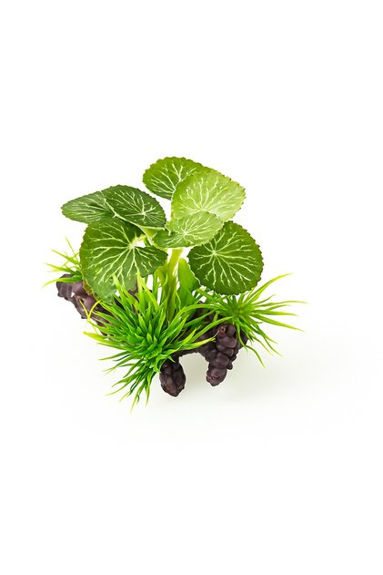 Plante Artificiale pentru Acvariu – Decor , Sigur pentru Pești, Ușor de Întreținut