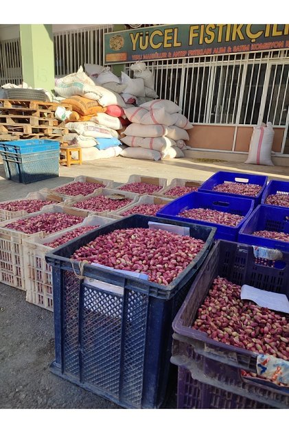 Taze Yaş Antep Fıstığı 1 Kg