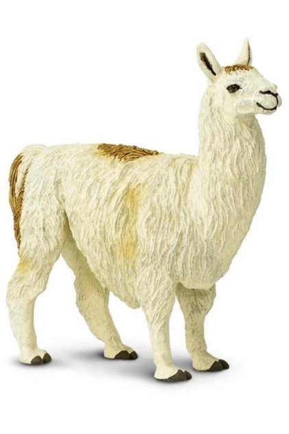 Lama