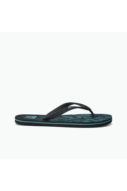 Seaside Prints - Aquifier Palm