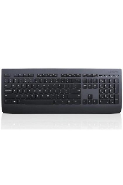 Tastatură Wireless Professional, USB, SUA (Negru)
