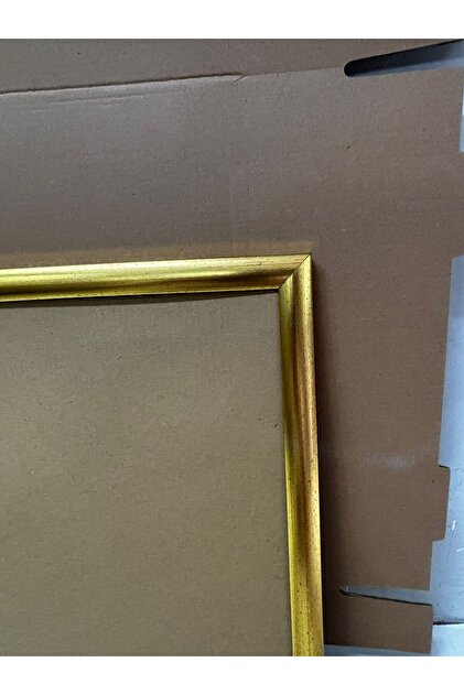 ekolphoto 35x50 gold çerçeve - Fiyatı, Yorumları