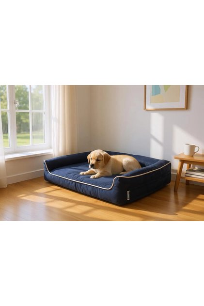 Şönil Kumaş Premium Sofa Blok Sungerli Alezli Fermuarlı Yıkanabilir Köpek Yatağı