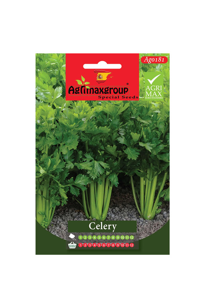 Celery Premium Quality Seeds (Made in Spain)