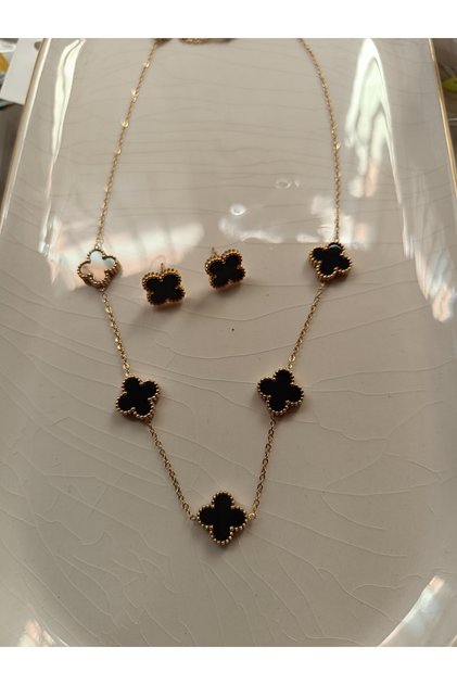 Steel Stainless Necklace Earrings Set