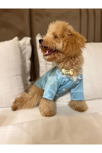 Dog Pajamas Dog Clothes