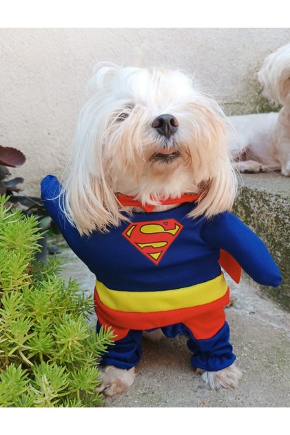 Superhero Dog Outfit Costume