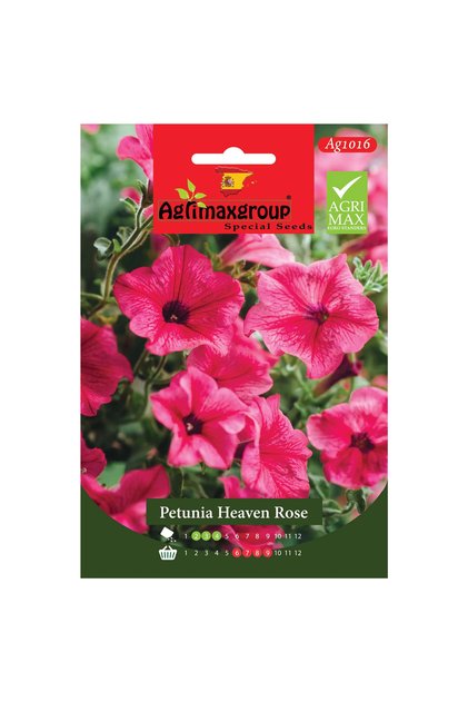 Petunia Heaven Rose Premium Quality Seeds (Made in Spain)