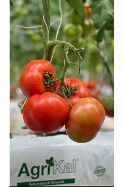 Saksı Mix 25 L Sebze Yetiştirme Torbası-growbag-hindistan Cevizi