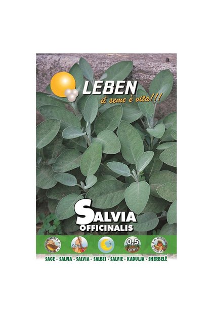Sage (Salvia Officinalis) Premium Quality Seeds Made in Italy