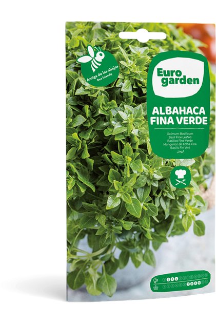 Basil Fine Leafed (Albahaca Fina Verde) Premium Quality Seeds Made in Spain
