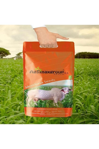 Bonicam Mombasa Premium Quality Seeds (Made in Spain)