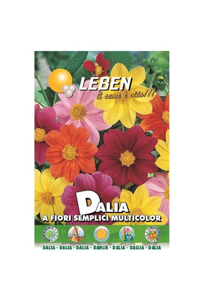 Dalia (A Fiori Semplici Multicolor) Premium Quality Seeds Made in Italy