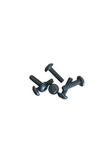 Torx vida M6x22 T30 (10 Adet)