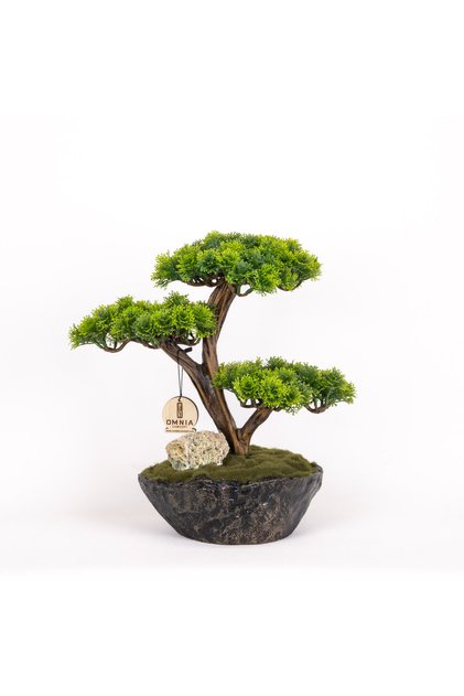 Calipso Bonsai-7 Masaüstü Kullanıma Uygun Mini Yapay Bonsai Ağacı - 30x40 Cm