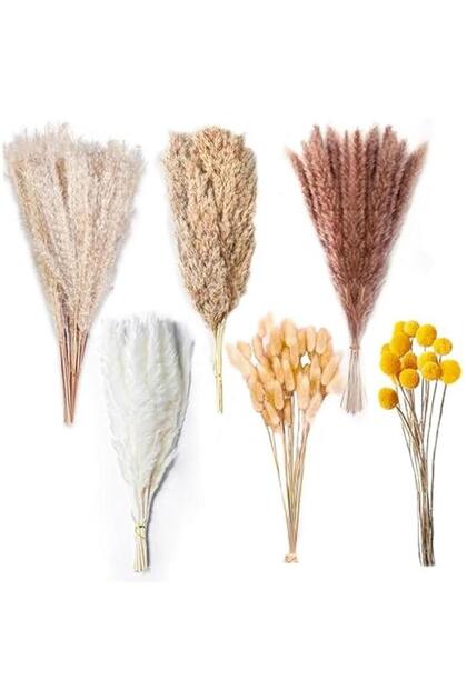 Natural Dried Pampas Grass Decor - 100 pack Fluffy Pampas Grass Bouquet - Boho Home Decor Dried Flo