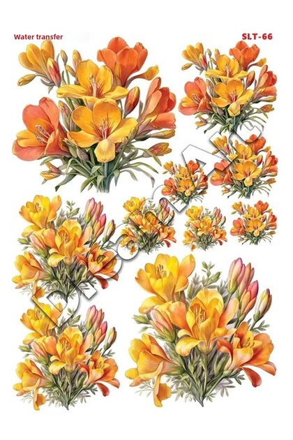 Crocus Light Water Transfer Slt066 25X35Cm