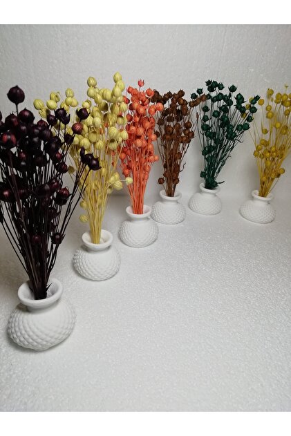 TAKATUKA HEDİYELİK Dekoratif 6lı Set Mini Saksılı Kuru Çiçek Başak