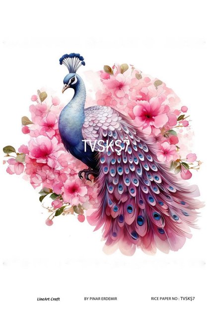 Pirinç Dekopaj Kağıdı TVSKŞ7 29x42cm Tavuskuşu