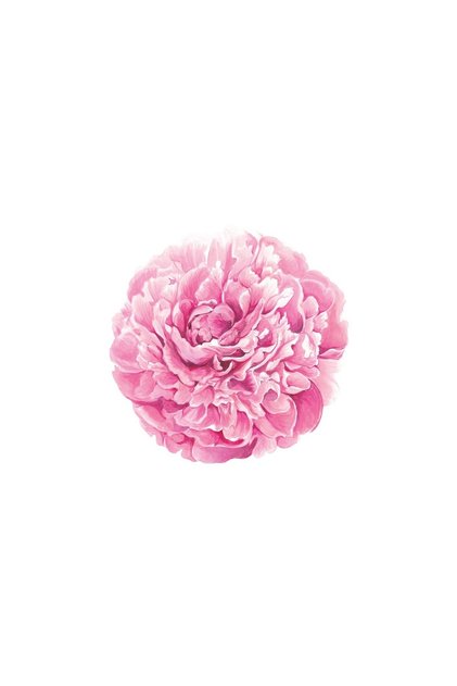 Die Cut Peony Placemat - 12 sheets