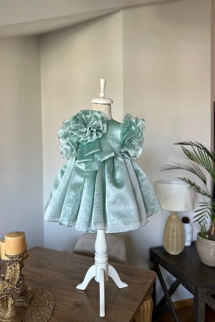 Special Design Girl's Dress with Floral and Pearl Details, Ruffled Sleeves, and Crown Accessory