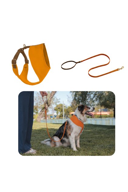 Harlowe Soft Dog Chest Collar Set