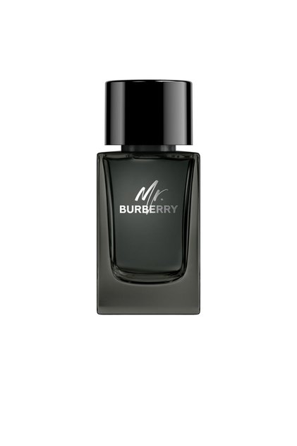 Herr. Eau De Parfum Dampf 100 ml