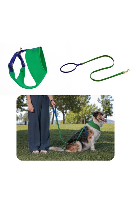Jewel Soft Dog Chest Collar Set