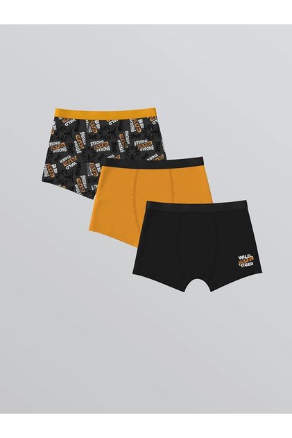 Lcw Printed Boys' Boxer 3-Pack (W5)