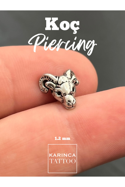 Koç Rock Gothic Kulak Piercing Tragus Flat Conch Helix Kıkırdak Küpe