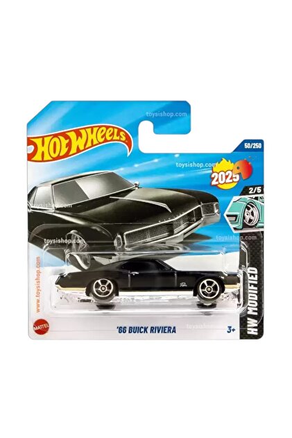 アンティーク　PACIFIC WILDLIFE2006 HOT WHEELS 66 Buick Riviera - HW Modified - JBB56 - Fiyatı, Yorumları