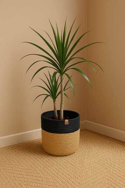 Jute Wicker Multi-Purpose Decorative Organizer Flower Pot Basket Garden Organizer Basket Width 20 Length 15 cm