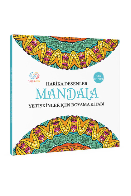 Harika Desenler Yetişkinler İçin Mandala Boyama Kitabı
