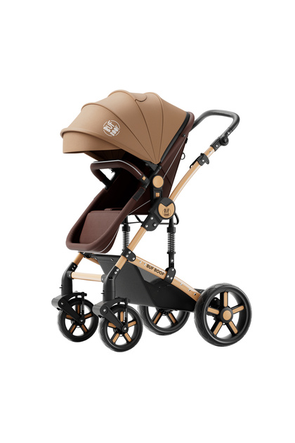 Carucior 2 in 1 reversibil A1 Deluxe BUF BOOF Champagne 0 36 luni