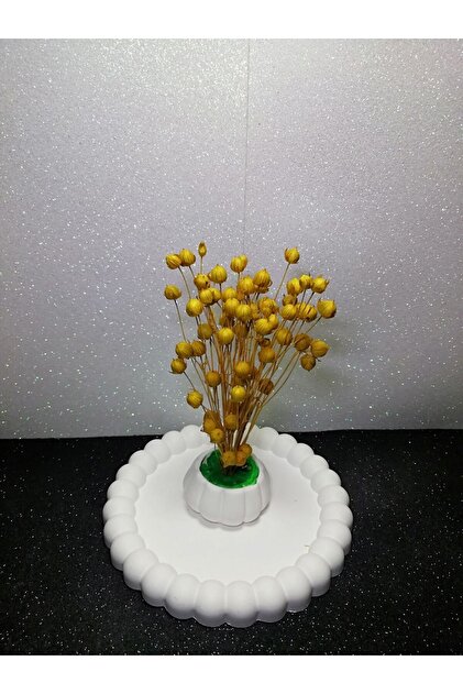 TAKATUKA HEDİYELİK Dekoratif 4lü Set Mini Vazo Saksı Kuru Çiçek