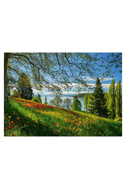 Puzzle 1000 dielikov - Kvitnúce tulipány: Ostrov Mainau
